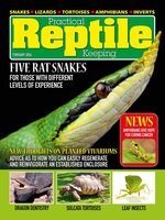 Practical Reptile Keeping